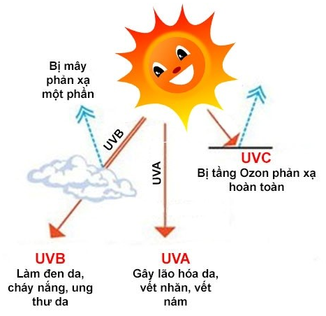 tia UV